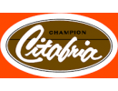 Citabria Aircraft